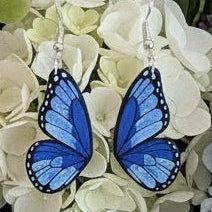 Butterfly Wings 1154