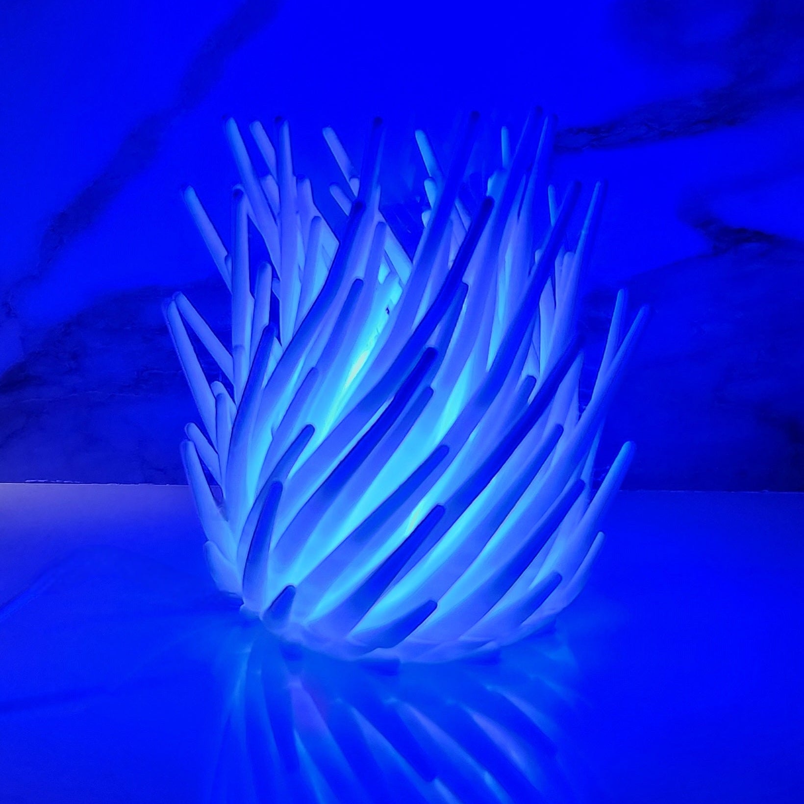 White Light with Blue Light